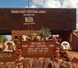 5 días de safari por Tsavo West, Amboseli y Tsavo East en Kenia desde Mombasa o Diani - Photo 3