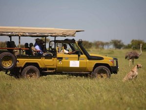 7 días increíble experiencia de safari en Kenia