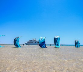 8 jours en stage de kitesurf débutant - Mini safari sur les Legends en Égypte - Photo 4