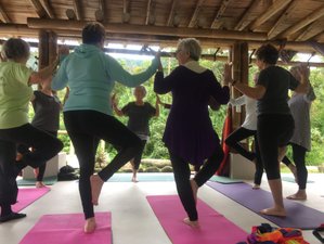 9 Day Sacred Reset: Mind, Body and Soul Retreat in Mindo, Ecuador
