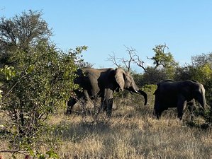 7 Day South Africa Yoga Retreat and Safari in Kruger National Park