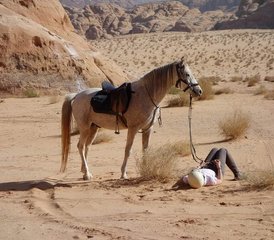 9 Day Luxury Petra and Wadi Rum Horse Riding Tour in Jordan - Photo 5