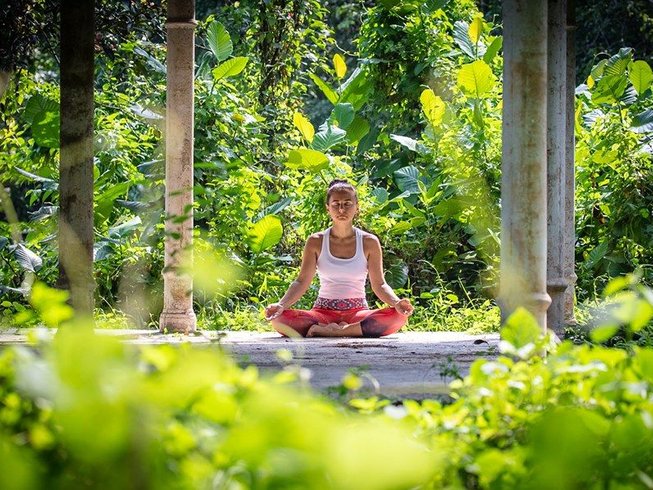 7 Day Buddhist Meditation and Yoga Retreat with Buddhist Monk in ...