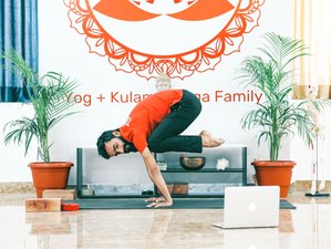 Self-Paced Online 200-Hour Hatha, Ashtanga Vinyasa YTT with Astrology Masterclass, 120 Contact Hours