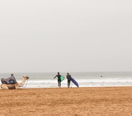 8-Daagse Surfkamp Voor Beginners En Gevorderden In De Beste En Beroemde Surfspots Van Tamraght, Marokko - Photo 2