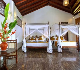 6 Tage Erd- und Luft-Intensivkurs Retreat mit Hatha- und Aerial Yoga in Galle, Sri Lanka - Photo 5