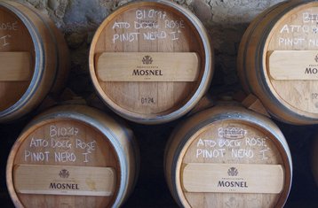 4 Tage Weintour und Kochurlaub in Sanremo, Ligurische Riviera und Côte d'Azur