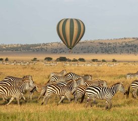 97 Tage Tansania Lodge-Safari - Trek zum Entdecken; Safari zum Erleben in Tansania - Photo 1