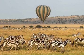 7-Daagse Tanzania Lodge Safari - Trek to Discover; Maak Een Safari Om Te Ervaren