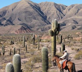 5-Daagse Cultureel Avontuur en Paardrijtocht in de regio Salta, Argentinië - Photo 4