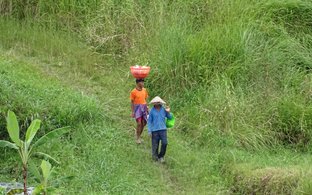 Megati Retreats & Trips