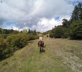 4 Day Center-Based Horse Riding Holiday in Tetritskaro, Georgia - Photo 4