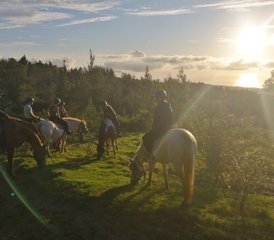 7 jours en séjour équestre guidé à La Réunion, France - Photo 4