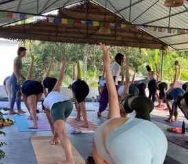 8-tägiger, 50-stündiger Vinyasa Flow und Hatha Yoga-Lehrerausbildungskurs in Varkala, Indien - Photo 3