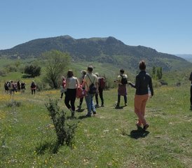 6 Day Nature Yoga Retreat with Hiking in Andalusia, Spain - Photo 3