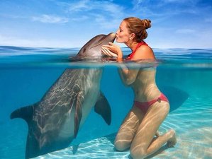 11 Days Luxury Yoga Holiday In Montego Bay Jamaica Bookyogaretreats Com