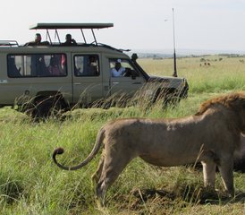 10 jours en stage de safari combiné au Kenya et en Tanzanie – Big Five, Serengeti et Maasai Mara - Photo 2