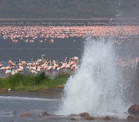 4 días de safari por los lagos del Gran Valle del Rift en Kenia - Photo 4