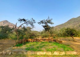 Ajmer Retraites et Voyages