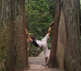 18-Daagse 200-Uur Natuur-Ingesloten Yoga Docentenopleiding op Bowen Island, Canada - Photo 3