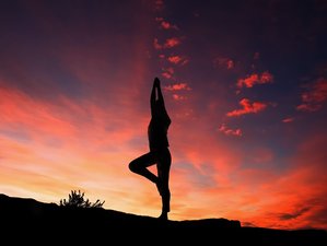 7 Day 50-Hour Prenatal Yoga Teachers Training Program in Mysore, India