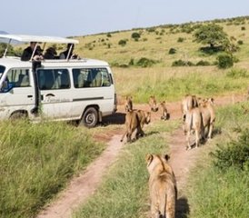 4 Day Great Migration in Maasai Mara and Lake Nakuru Safari, Kenya - Photo 2