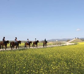 4 Day Extraordinary Horse Riding Holiday in Mollina, Malaga - Photo 3