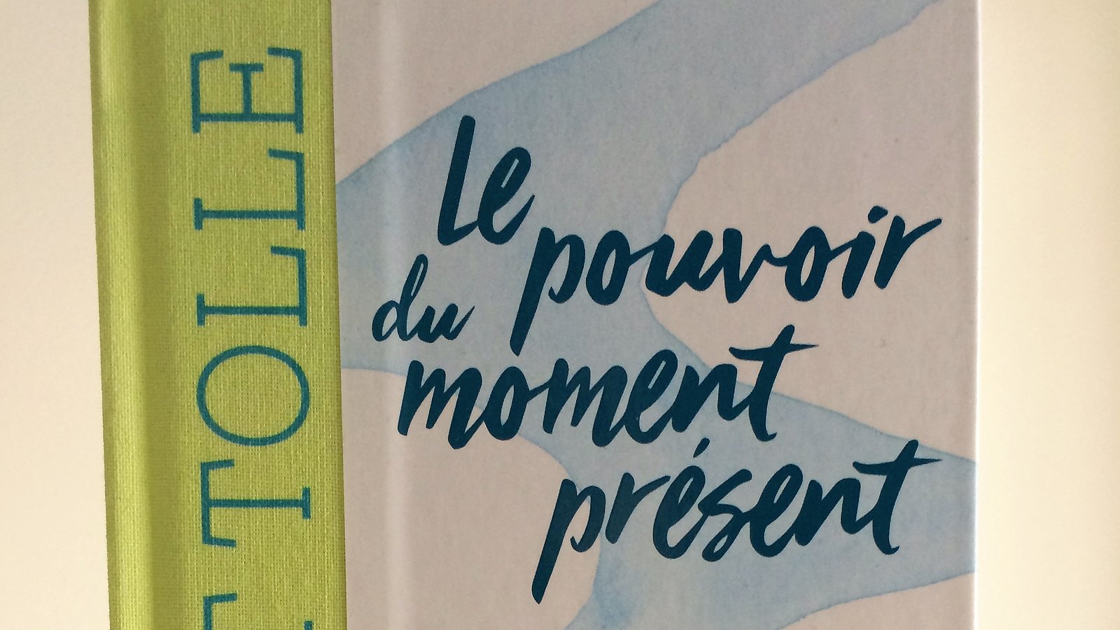 My Whole Project, France