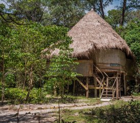 5 jours en retraite de yoga holistique sur la dernière île intacte du Cambodge - Photo 5