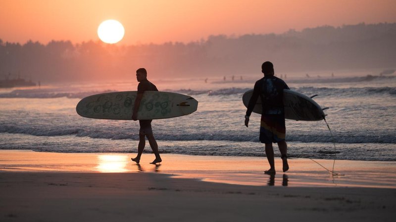5 Day Yoga and Surf Camp with Temple, Beach, Blow Hall Tours, and Boat Safari in Sri Lanka