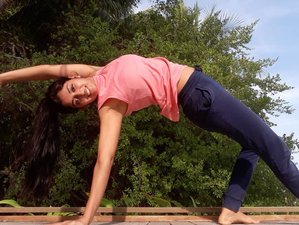 Online Self-Paced 300-Hour Hatha, Ashtanga, and Vinyasa Yoga Teacher Training