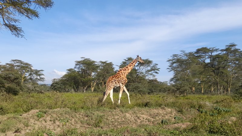 3 Days Maasai Mara Luxury Sopa Lodge Safari