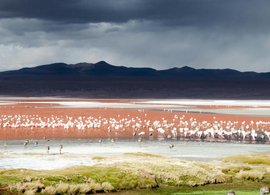 Laguna Colorada Retreats & Trips