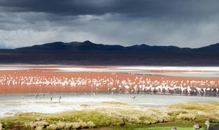 Laguna Colorada Retreats & Trips