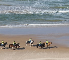 3 jours en stage d’équitation sur la célèbre côte de la Chaussée des Géants et North Antrim en Irlande du Nord, Roy - Photo 3