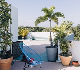 21 Day Yoga and Meditation Retreat in Tulum, Mexico: Create the Habit of Practice - Photo 3