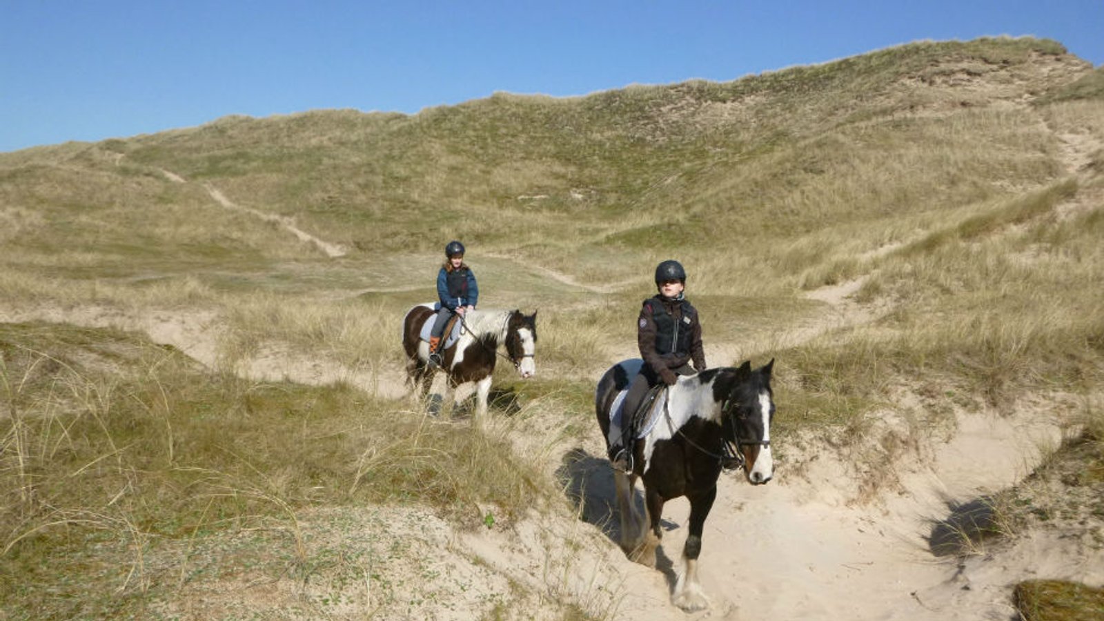 Donegal Equestrian Centre Reviews, Profile & Contact