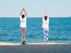 5 Day Bespoke Yoga Holiday in Qingdao, China with Green Tea Picking, Temple Visit, and More