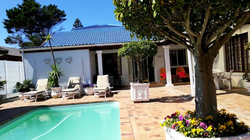 Dolphin Inn Blouberg - Friendly Guesthouse to Surf or Kitesurf in Cape Town, South Africa