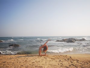4 Day Wildcrafted Wellness Weekend Rejuvenate and Reconnect in Cornwall, England, UK