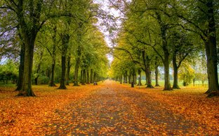 North West England Retreats und Reisen
