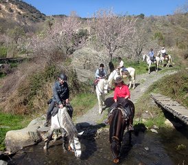 8-Daagse Paardrijvakantie in La Contraviesa, Andalusië, Spanje - Photo 4