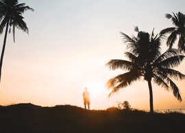 Canggu Retreats & Trips