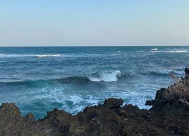 Watamu Retreats & Trips