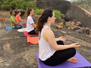 27 Day 300 Hour Multi-style Yoga Teacher Training in Goa At Goa Yogashala