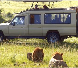 95 días de safari de lujo en Kenia en las reservas nacionales de Samburu y Masái Mara - Photo 1