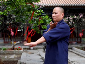 Self-Paced Wing Chun Xiao Nian Tou Routine Online Training - Tripaneer.com