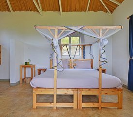 12 Tage Uganda Wildlife Safari in Nationalparks, Schutzgebieten und Sümpfen - Photo 4