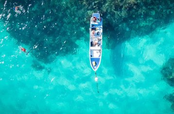 Boca Paila Halve Dag Niet-Residentiële Sian Ka'an Ontdekking Boottocht en Wildlife in Mexico