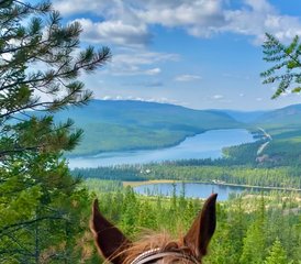 117 Day Family Ranch Getaway in West Marion, Montana, USA - Photo 1